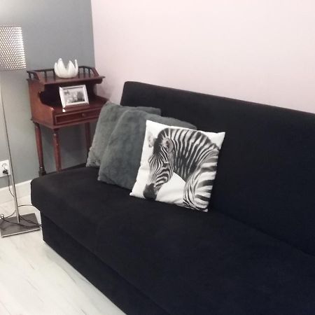 Vintage - Rose Apartament Torun Luaran gambar