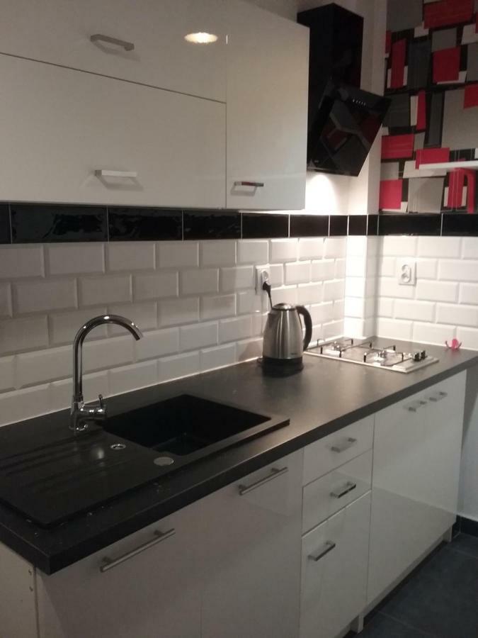 Vintage - Rose Apartament Torun Luaran gambar