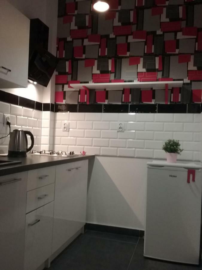 Vintage - Rose Apartament Torun Luaran gambar