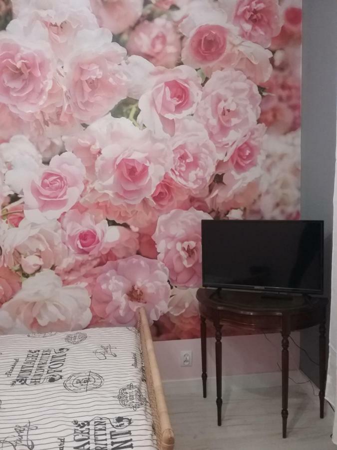 Vintage - Rose Apartament Torun Luaran gambar