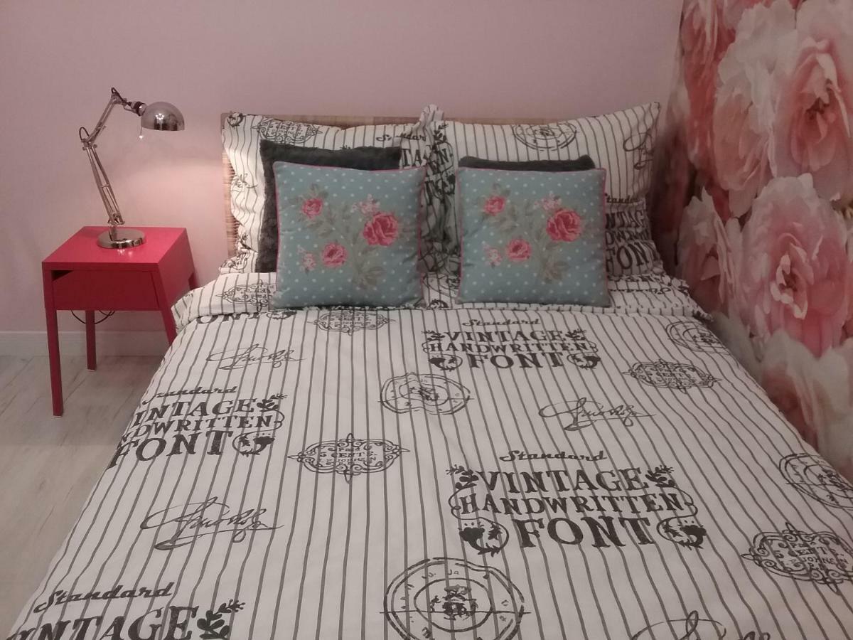 Vintage - Rose Apartament Torun Luaran gambar