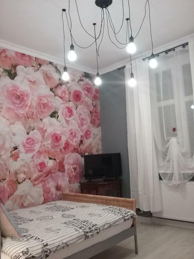 Vintage - Rose Apartament Torun Luaran gambar