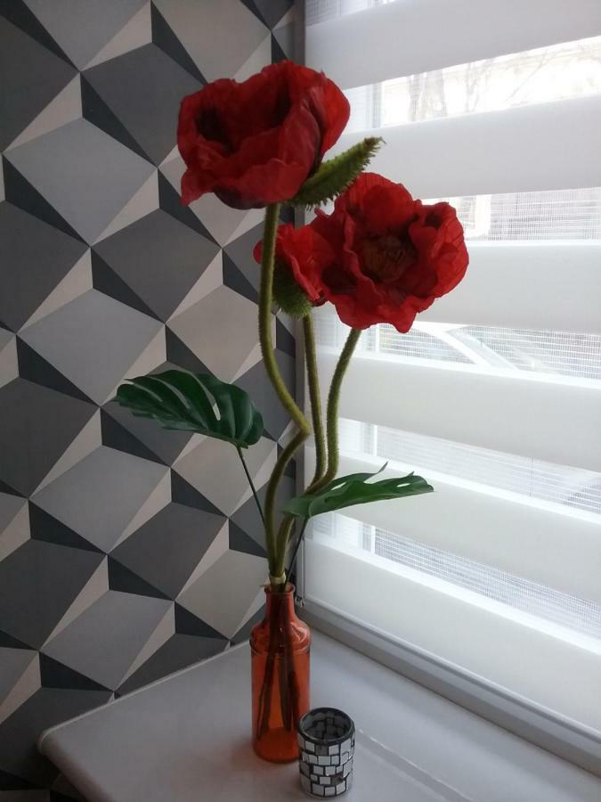 Vintage - Rose Apartament Torun Luaran gambar