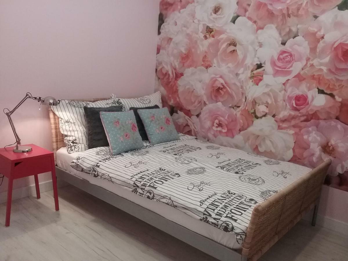 Vintage - Rose Apartament Torun Luaran gambar