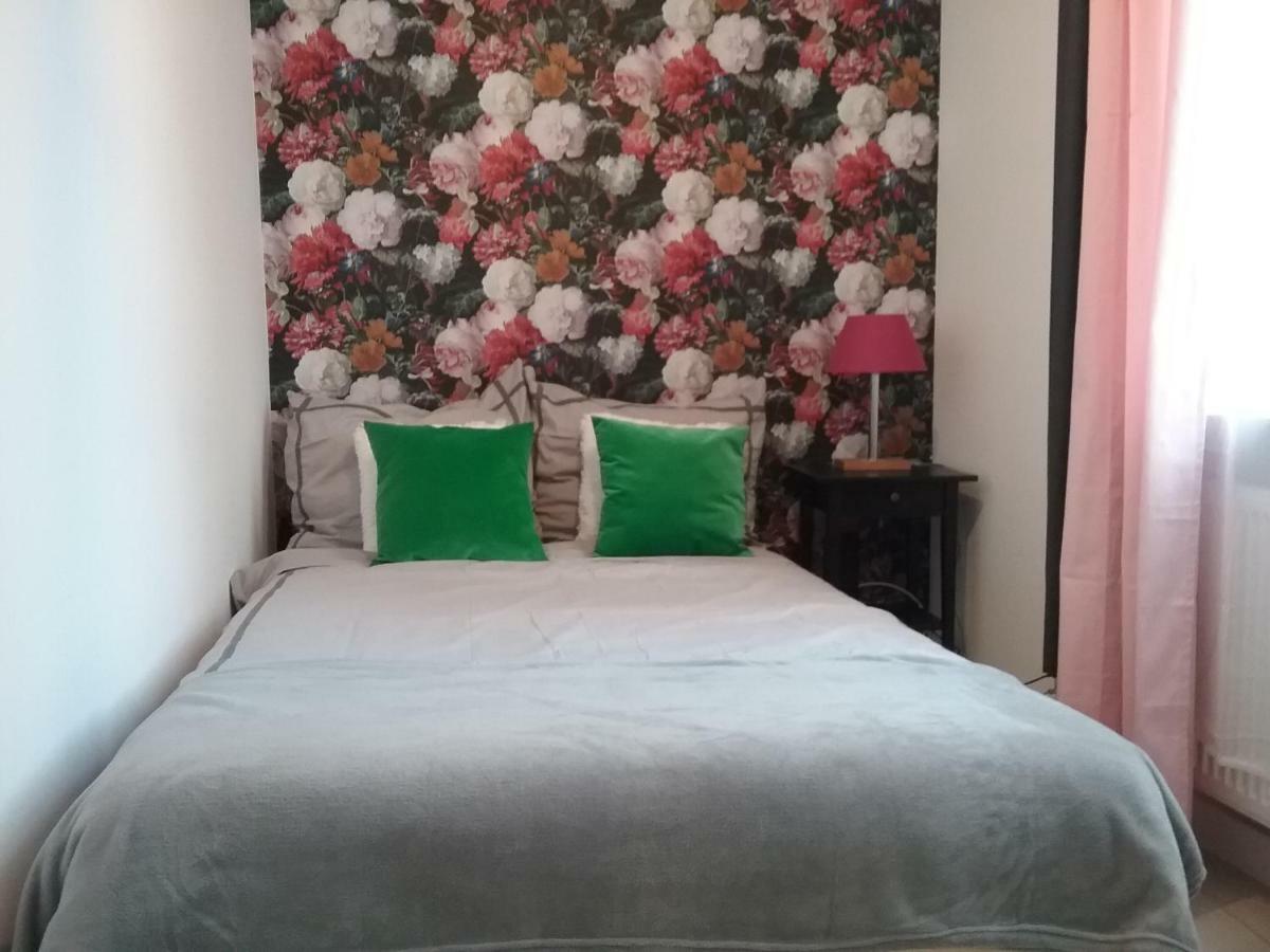 Vintage - Rose Apartament Torun Luaran gambar