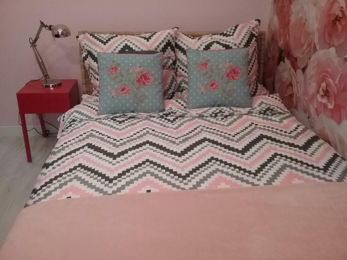 Vintage - Rose Apartament Torun Luaran gambar