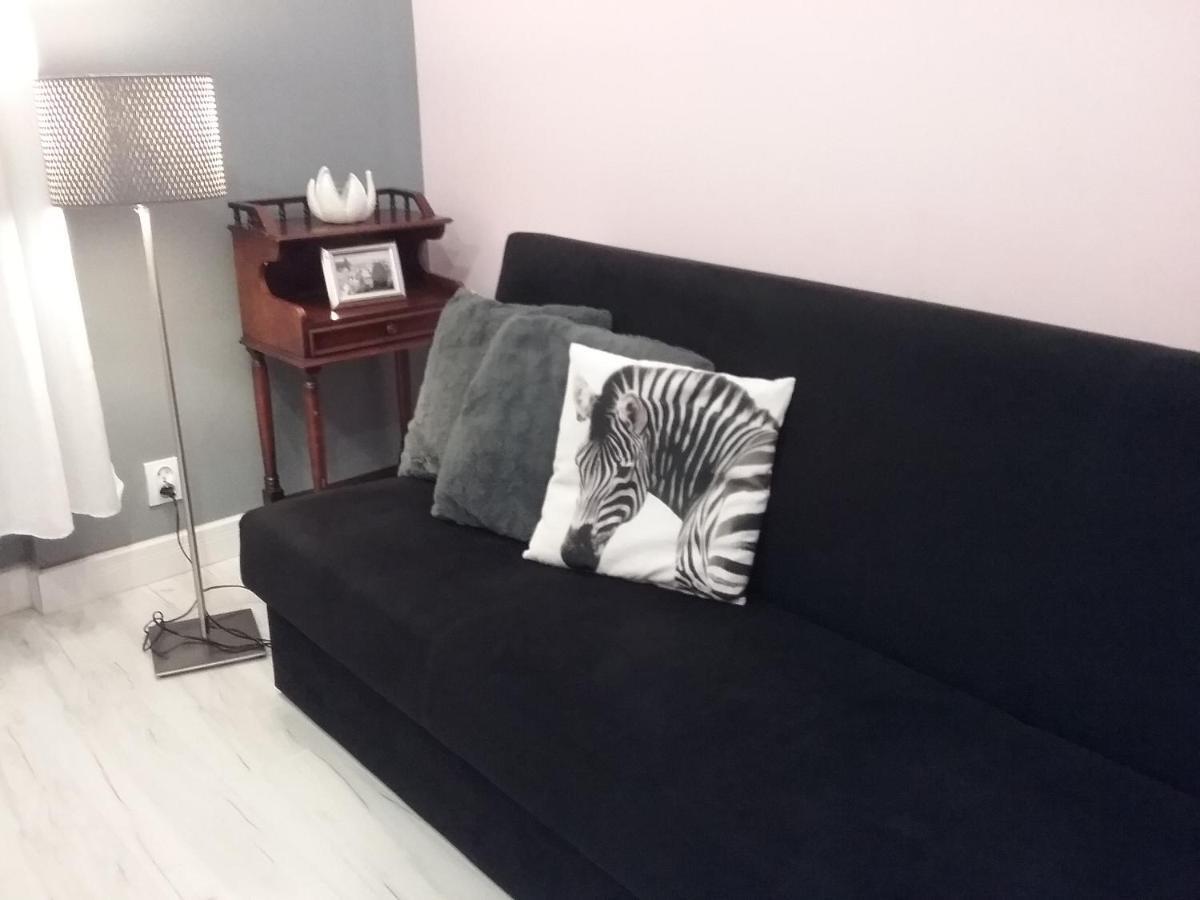 Vintage - Rose Apartament Torun Luaran gambar